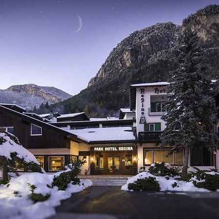 Hotel Regina Delle Dolomiti Panchià Exterior foto