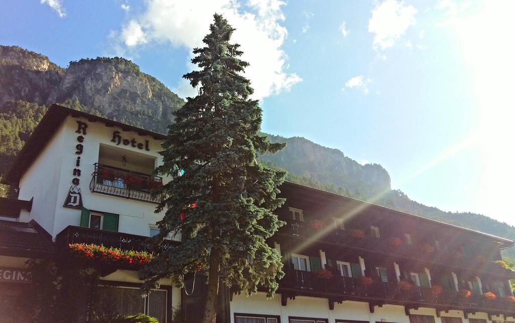 Hotel Regina Delle Dolomiti Panchià Exterior foto